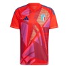 Maillot de Gardien Italie Euro 2024 Pour Homme